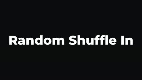 Random Shuffle In — After Effects animate in preset preview