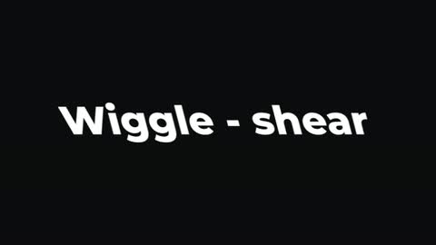 Wiggle - shear — After Effects behaviors preset preview