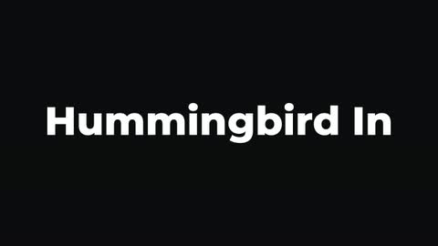 Hummingbird In — After Effects organic preset preview