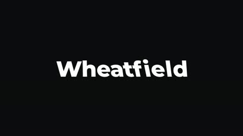 Wheatfield — After Effects organic preset preview