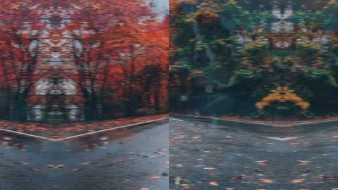 Mirror — Premiere Pro video transition preview