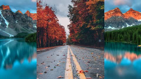 Split (Legacy) — Premiere Pro video transition preview